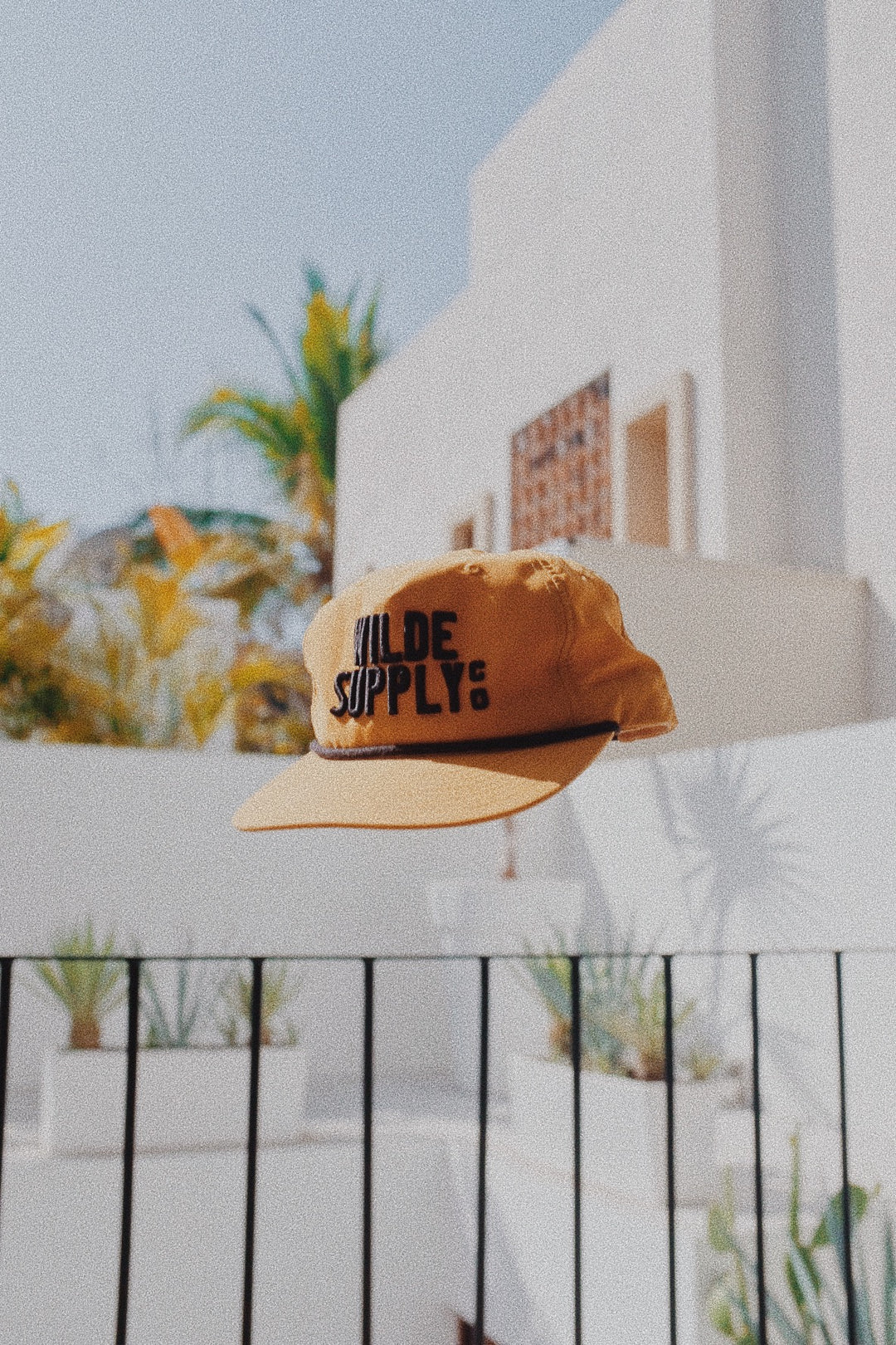 Larry Snapback - Canyon