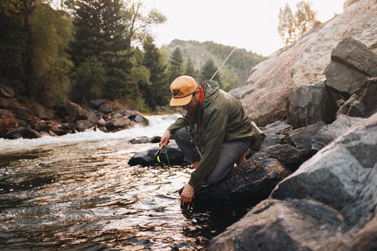 Larry Snapback - Canyon